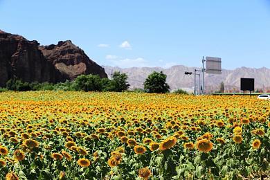 《审判之逝：湮灭的记忆》第6弹游戏情报